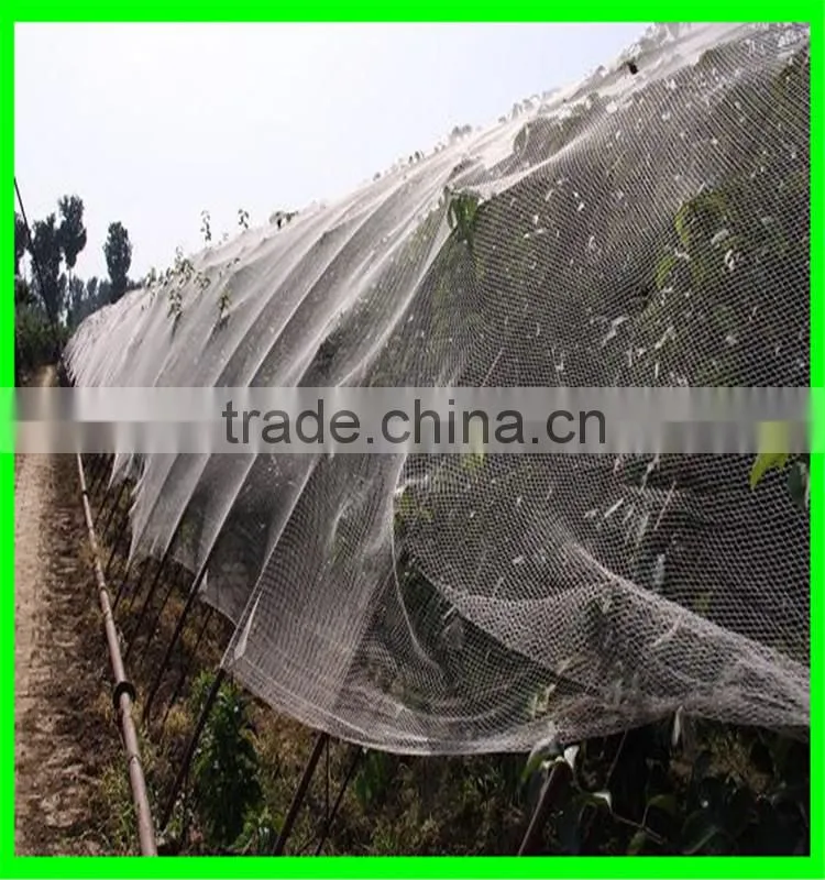 Anti hail systems/ Anti Hail Net / Hail protection nets for agriculture