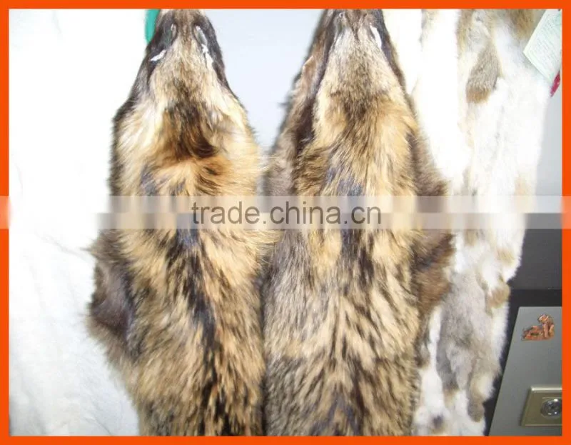 tanned raccoon fur skin