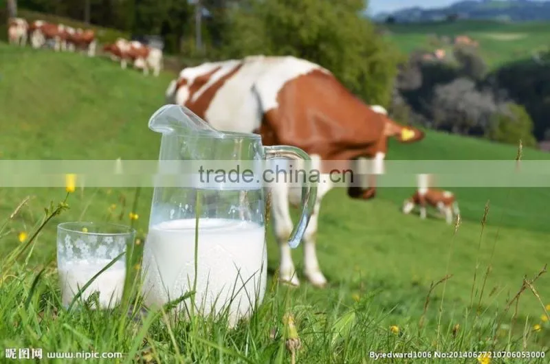 Pasteurization machine/Stainless Steel and Professional Milk Pasteurizer/Fruit Juice Pasteurizer