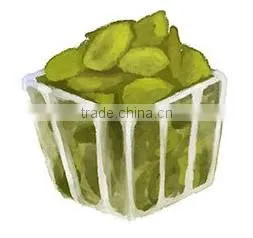 Chinese seedless watermelon seed
