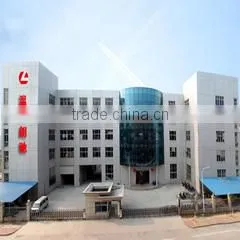 Wenzhou Langchi Industrial Corporation Ltd. company overview - view 1