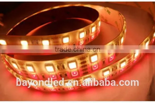 double mix color temperature flexible led strip 120LEDS/m 3528SMD led strip color temperature adjustable and dimmable