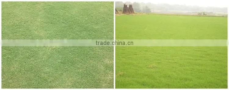 Huminrich Shenyang SH9040-1 Blackgold Humate Compost Fertilizer Price