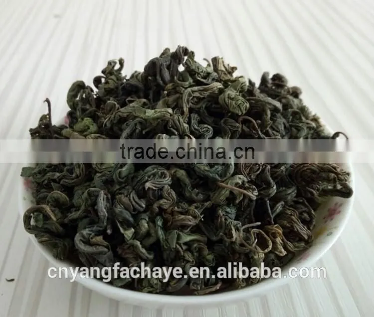 Health care Guilin China famous green tea