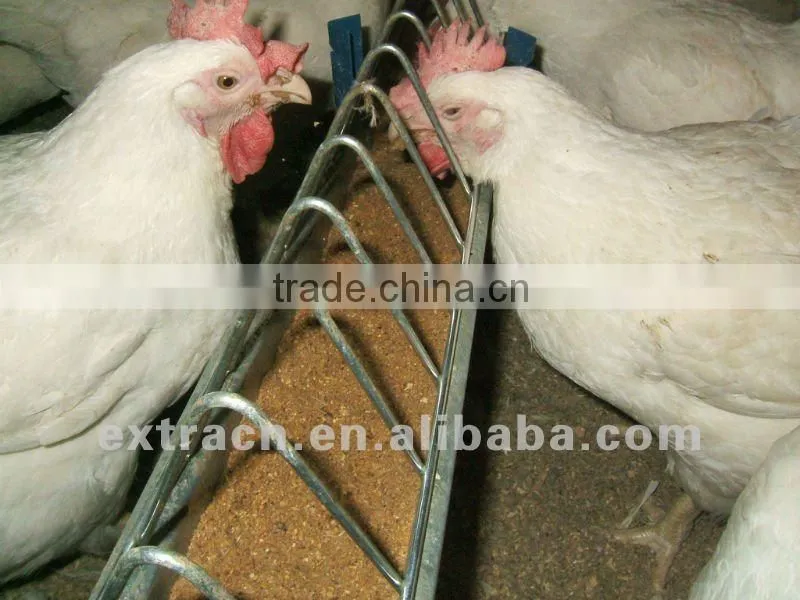 Chain feeding system