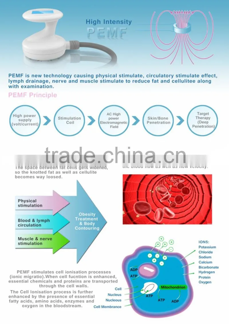 Acoustic Wave Therapy Pulsed Electro Magnetic Field PEMF Therapy
