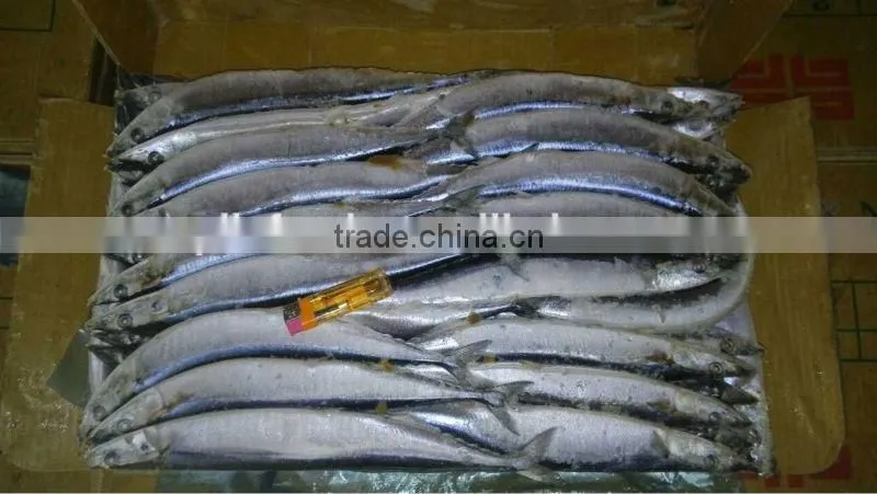 2014 new coming Frozen pacific saury from China