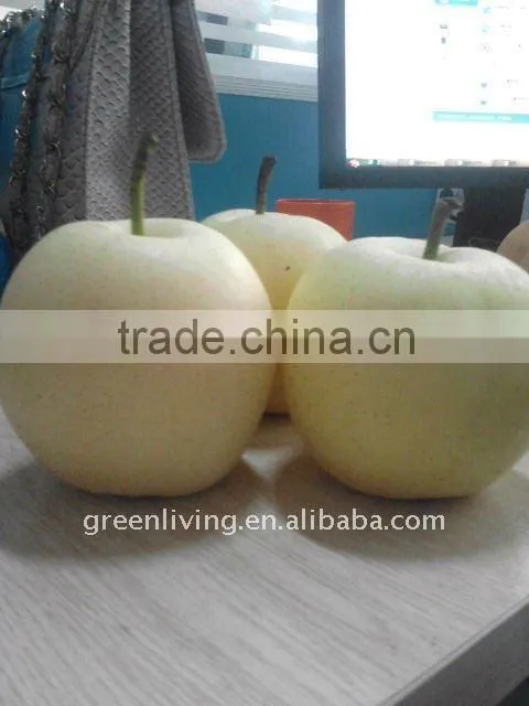 snow pear in market