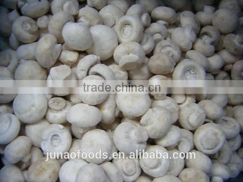 Greenhouse advanced production Cultivation greenhouses for mushroom