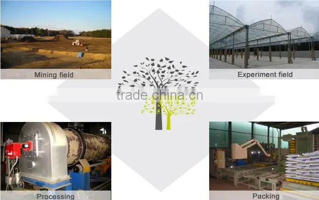 Horticulture Expanded Vermiculite Supplier