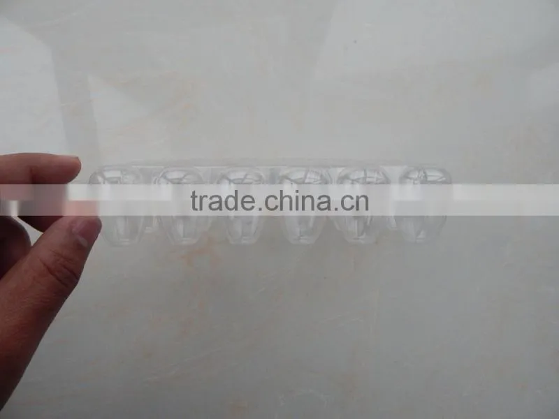 Transparent PVC egg tray for 24 quail eggs