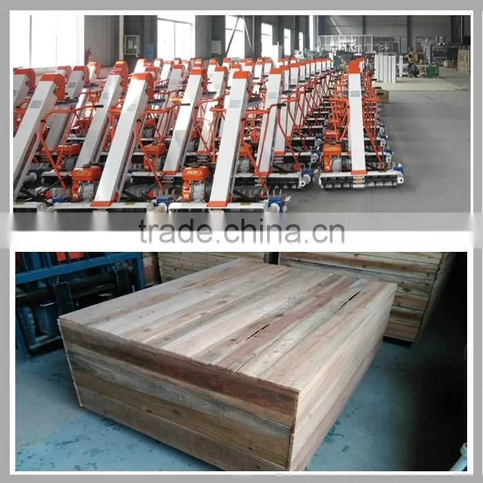 Hand Pushing Paddy Rice Propelling Conveyor Packing Machine