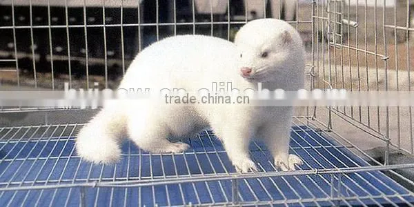 Mink Breeding/Mink Farming Cage