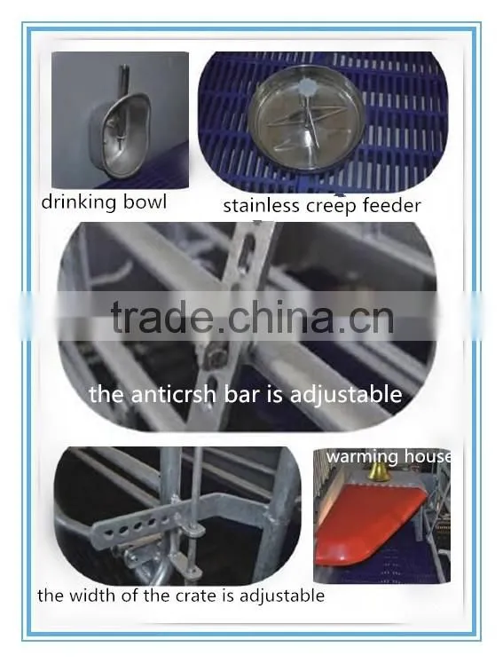 Mother pig stall low price pig birthing stall