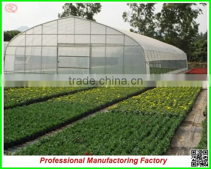 high quality/best selling arched type multi-span greenhouse for garden
