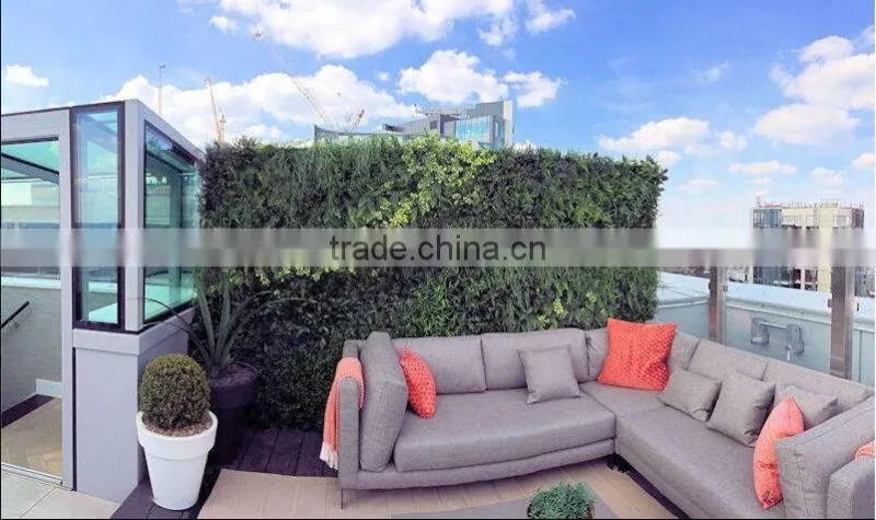 Exterior grade green walls made with Buxus sprays to create a simple green backdrop