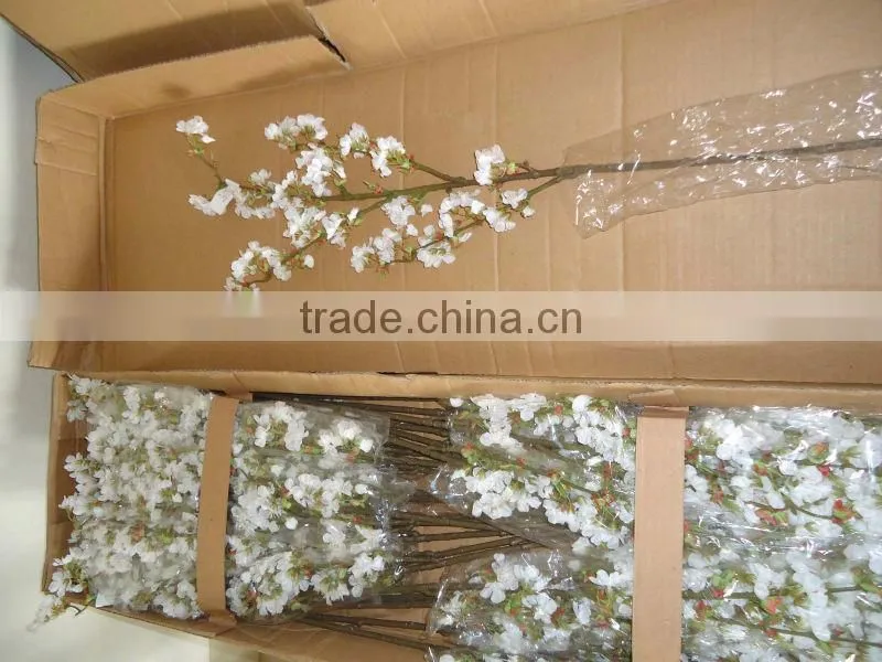 GNW FLV09 indian rose flower use for balloon flower root extract or other occasion