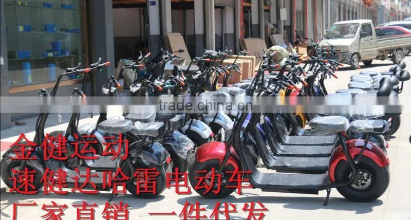 Manufacture factory! Harley electric bike, city scooter, city coco,scooter,bike,electric scooter