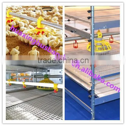 Broiler feeder/chick farming house