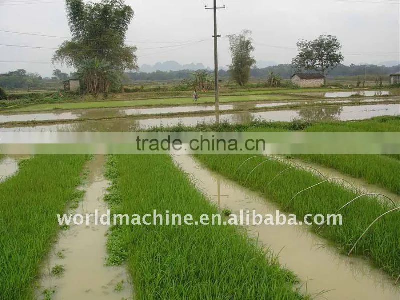 2016 Hot Sell Rice Seedling Planter machine / Paddy transplanter from China