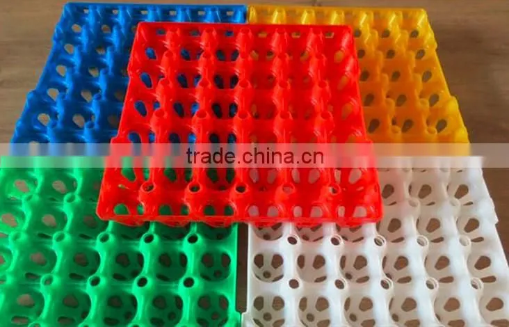 alibaba buy now plastic eggs trays