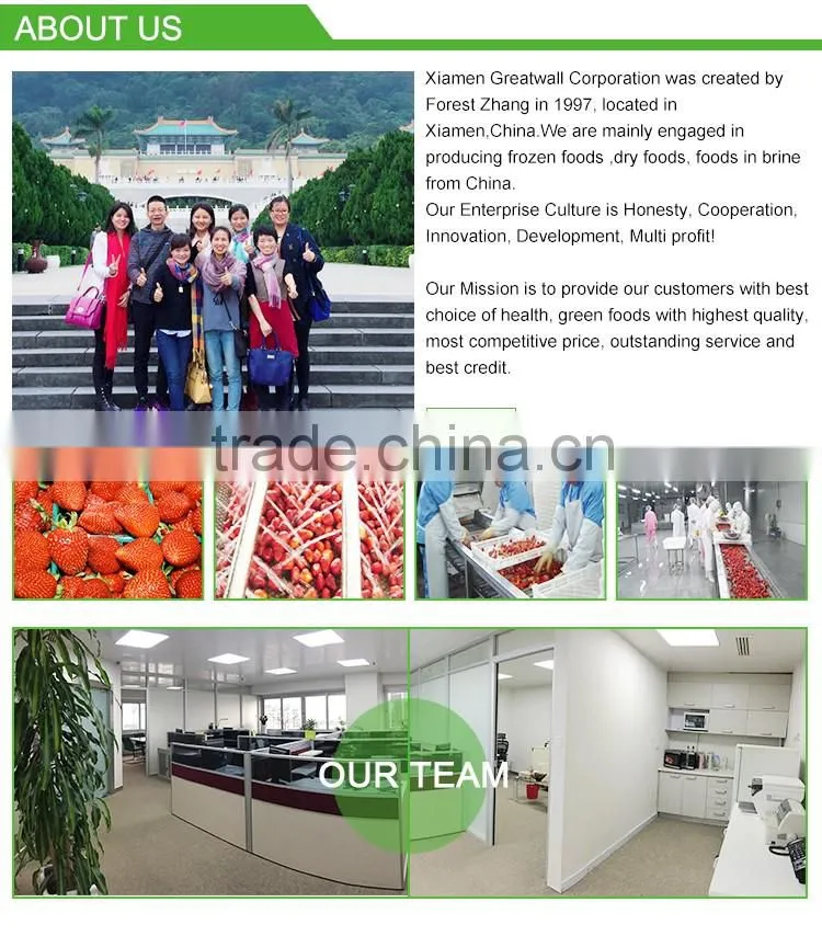 Offering Finger Food wholesale spring rolls
