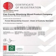 Cao County Shuntong Wood Product Factory company overview - view 2