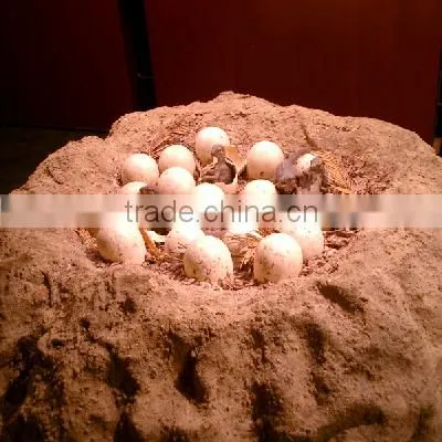 Magic Growing Fowl Dinosaur Egg Toy