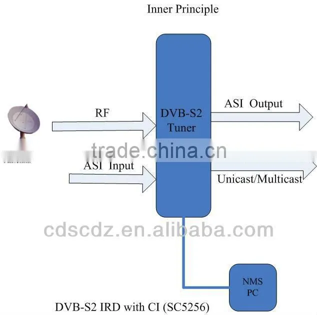 Professional DVB-S2 Demodulator /DVB S2 IP IRD with 2 CI