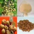 Longan fruit powder,fruit extract powder