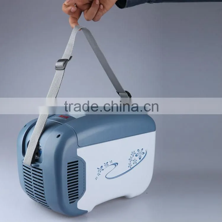 Good Quality 4L Personal Car Cooler Box Car Fridge (Cooler&Warmer)
