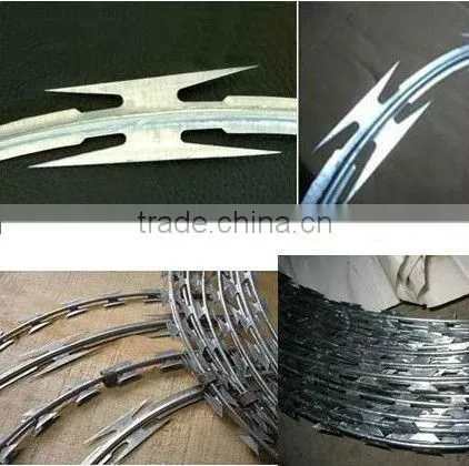 concertina razor wire/razor wire fence(ISO9001:2008)
