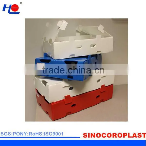 moistureproof and aging resistance plastic polypropylene dust proof box