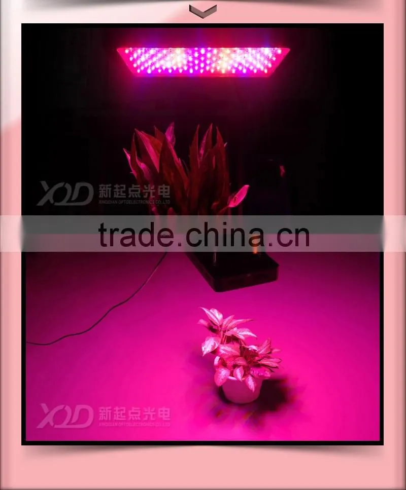 branches of agriculture powerful led grow lights 3w chip 300w red Ir uv led the lamp