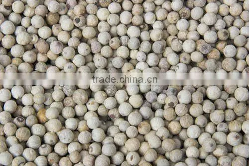 WHITE PEPPER