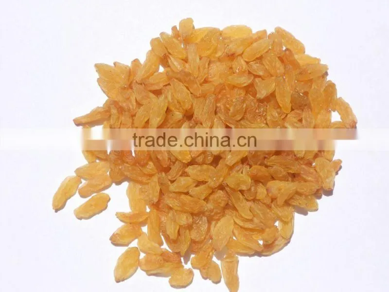 Golden Raisin