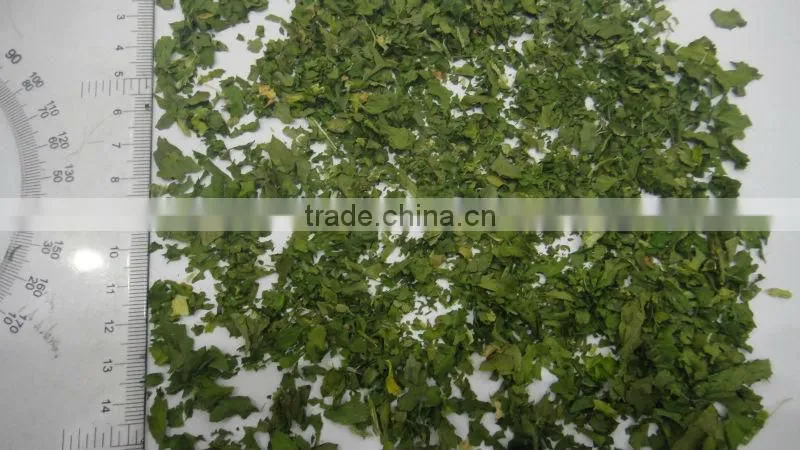 sell dehydrated celery powder