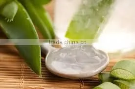 Natural Plant Extract Aloe Vera