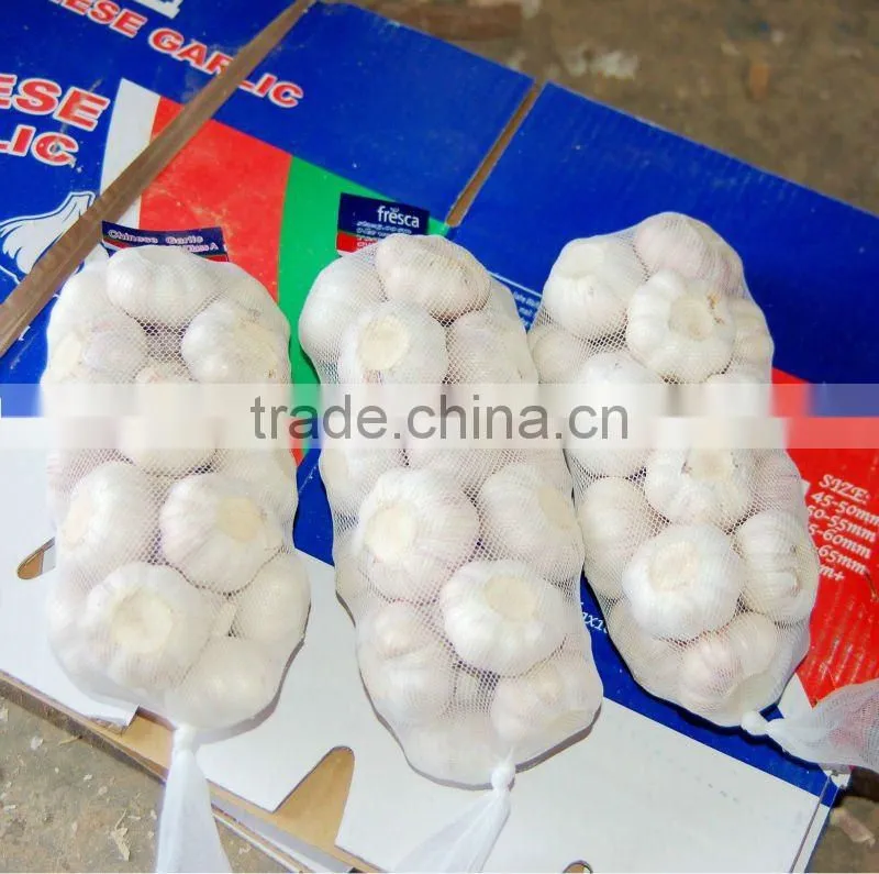 Fresh Garlic Global Foods health against cancer
