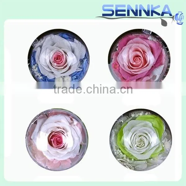 Handmade Pink Preserved Rose Hanging Thread Keychain Natural Preserved Flower