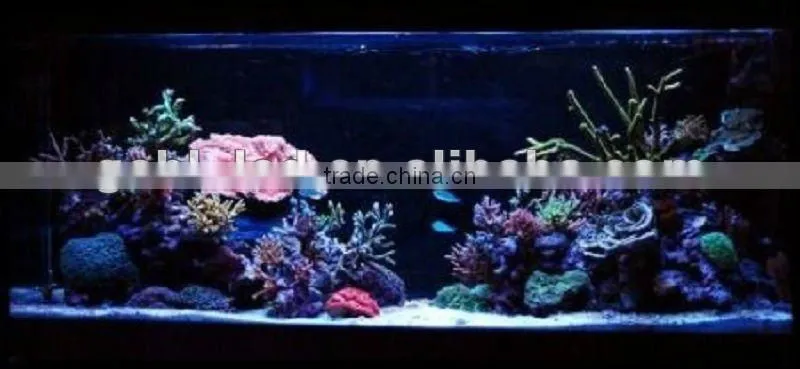 60w LED Coral Lighting Aquarium Lamp Dimmable Reef LED Aquarium