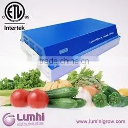 Alibaba wholesale integrated cob led grow light 100w