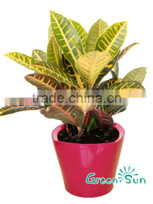 Wholesale garden outdoor decoration flower planter