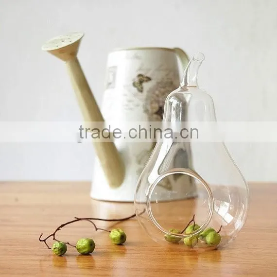 Apple and pear shaped glass vase / clean glass vase / glass vase