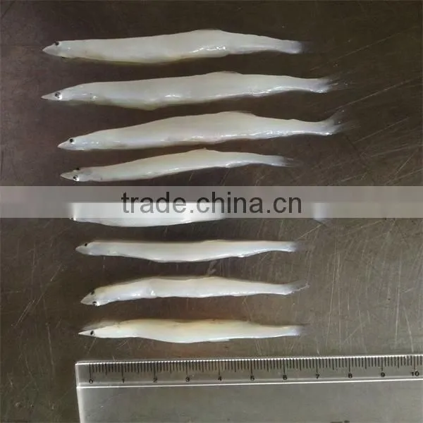 silver fish and frozen with fish