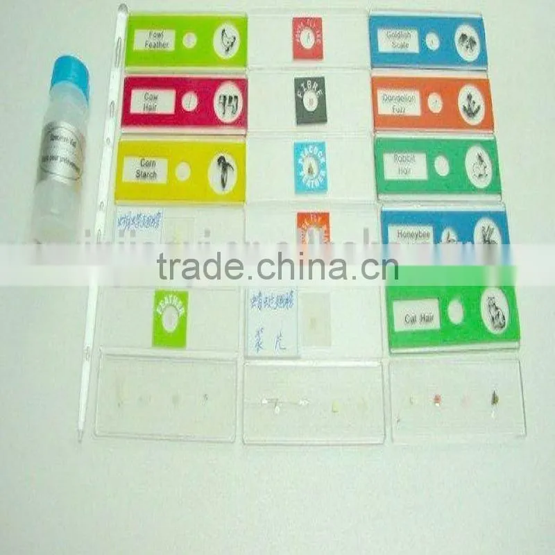 Plastic slides|plastic boxes|children education aids|children playing slides|charged plastic microscope prepared slides
