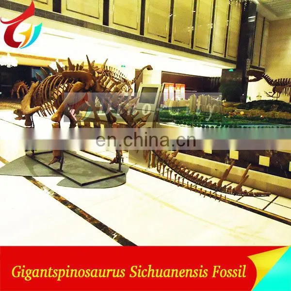 indoor display fiberglass life size dinosaur skeleton