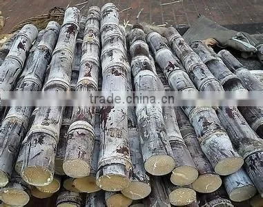 High quality automatic vertical sugar cane juicer machine