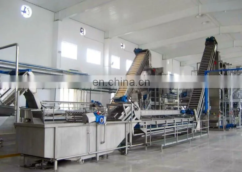 Commercial cashew apple juice processing line