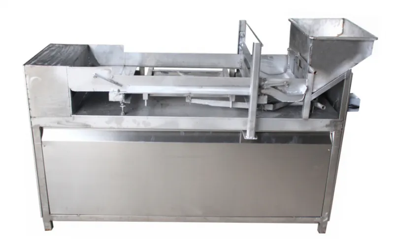 Genyond Complete Raspberry bar Fruit Leather Forming Making Machine Raspberry Fruit Roll up Process Plant Production Line